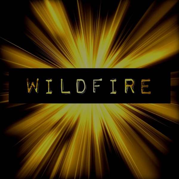 Wildfire (Nicky Rolly Remix) - Single album cover
