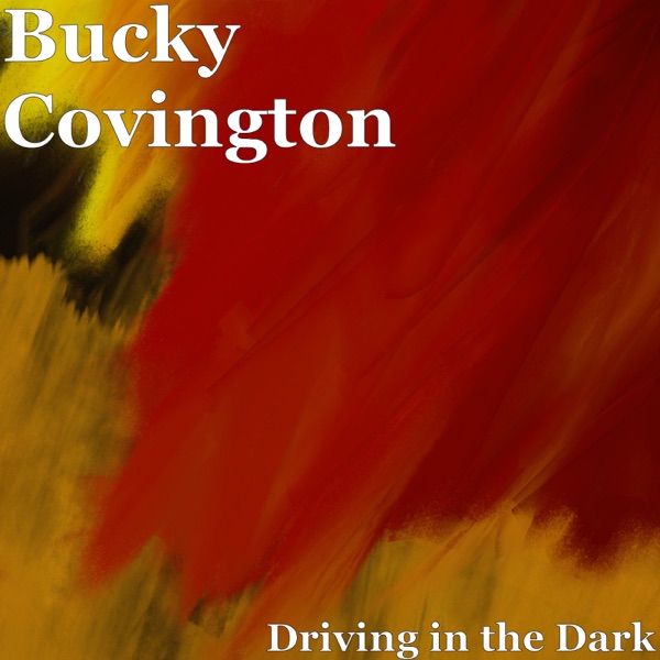 Driving in the Dark - Single album cover
