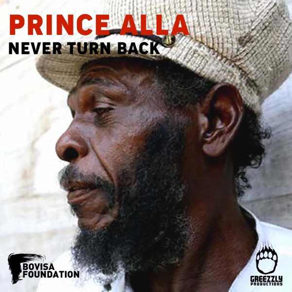 Never Turn Back (feat. Prince Alla) - Single album cover