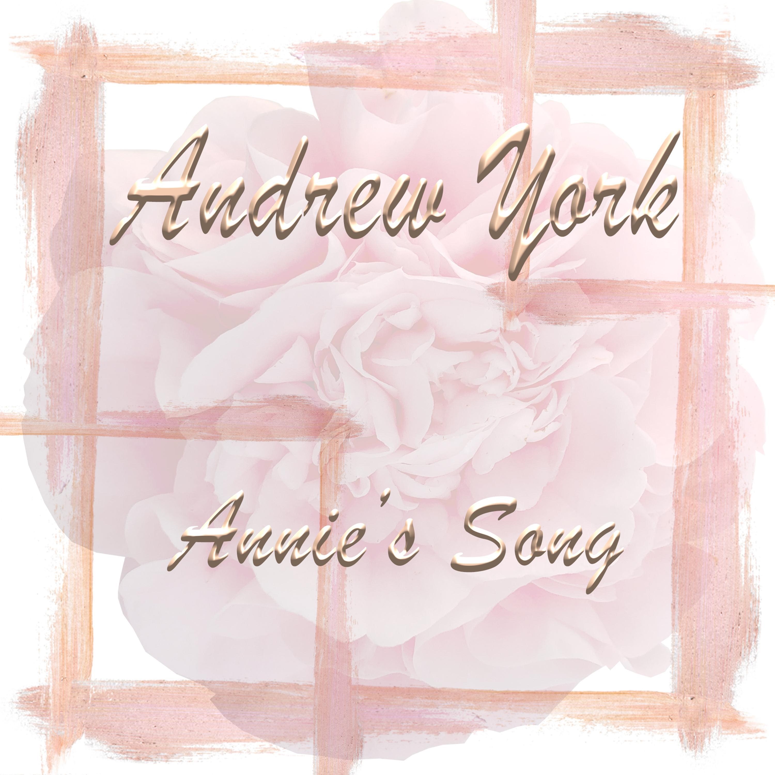 Annie's Song - Single album cover