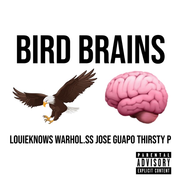 Bird Brains (feat. Warhol.Ss, Jose Guapo & Thirsty P) - Single album cover