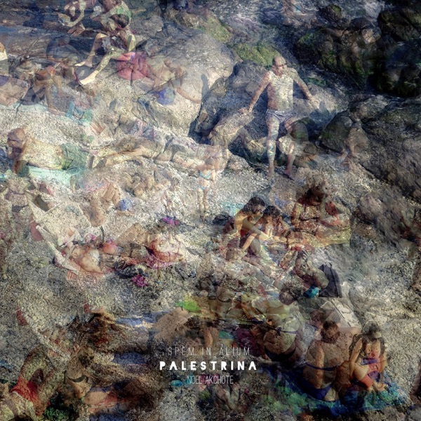 Palestrina - Spem in alium (Arr. For Dobro) album cover