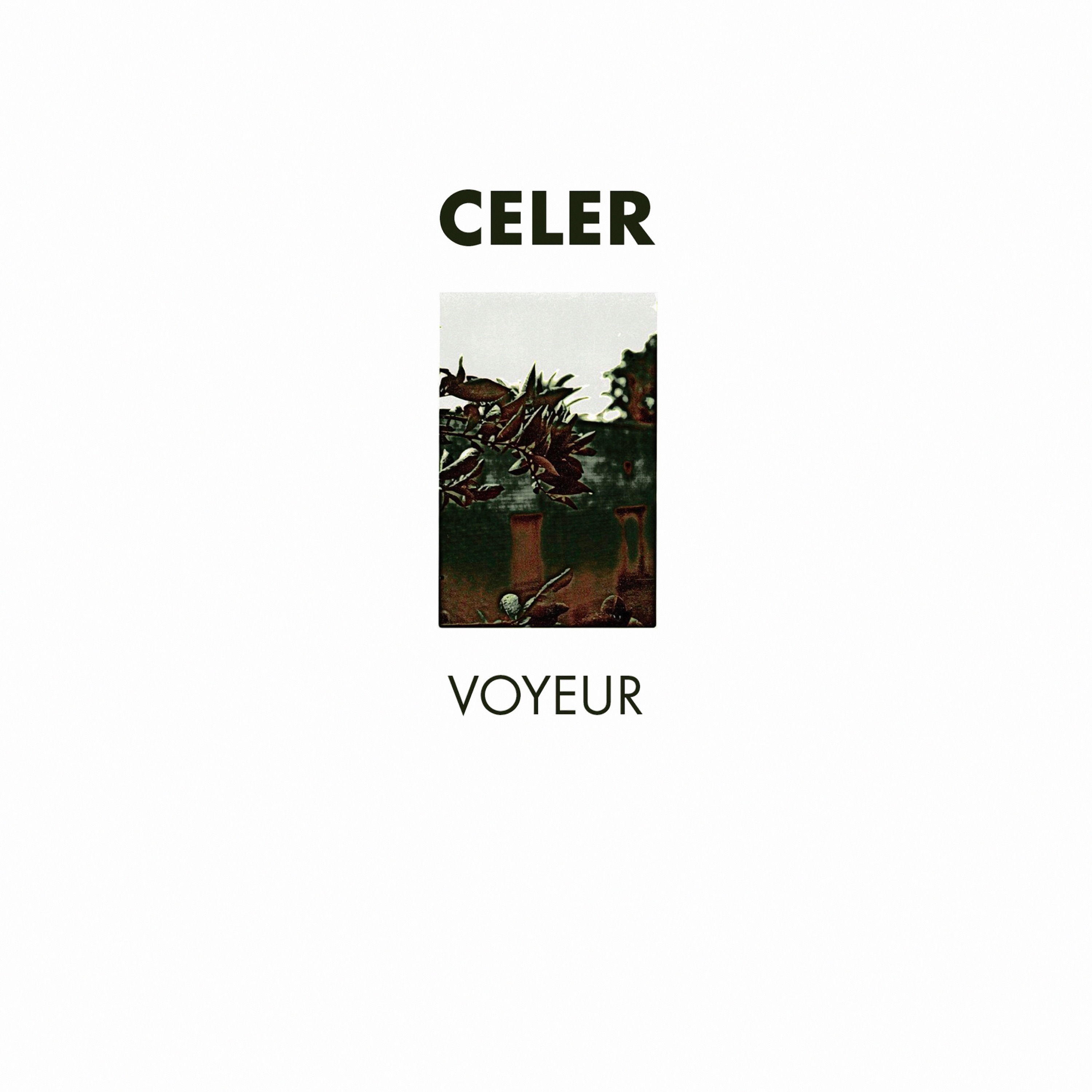 Voyeur album cover