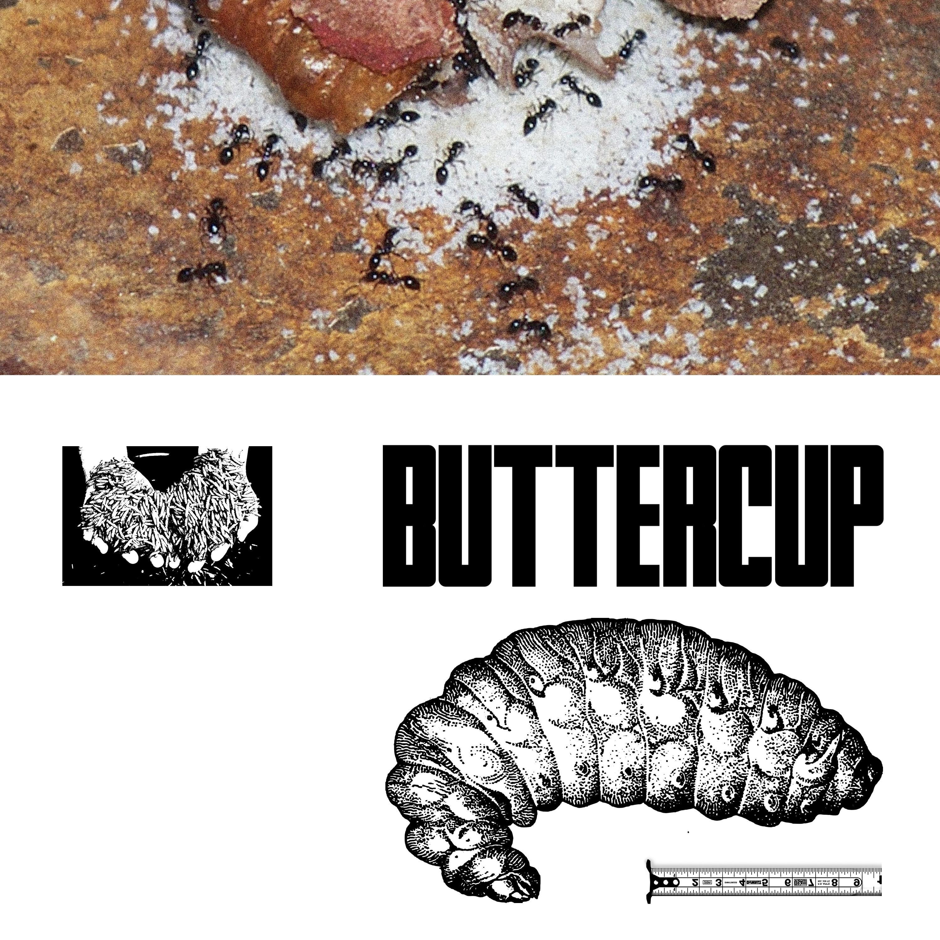 Buttercup (feat. Phf) - Single album cover