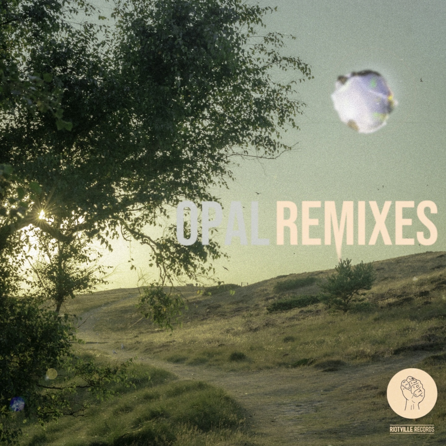 Opal (Remixes) album cover