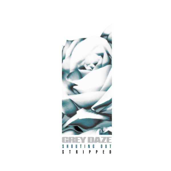 Shouting Out (Stripped) - Single album cover