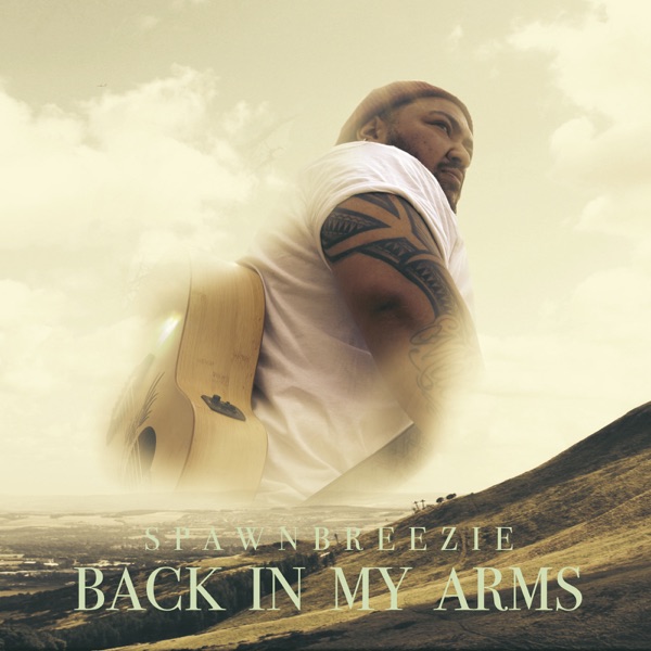 Back in My Arms - Single album cover