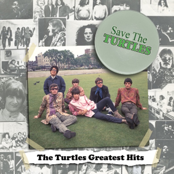 Save The Turtles:  The Turtles Greatest Hits album cover
