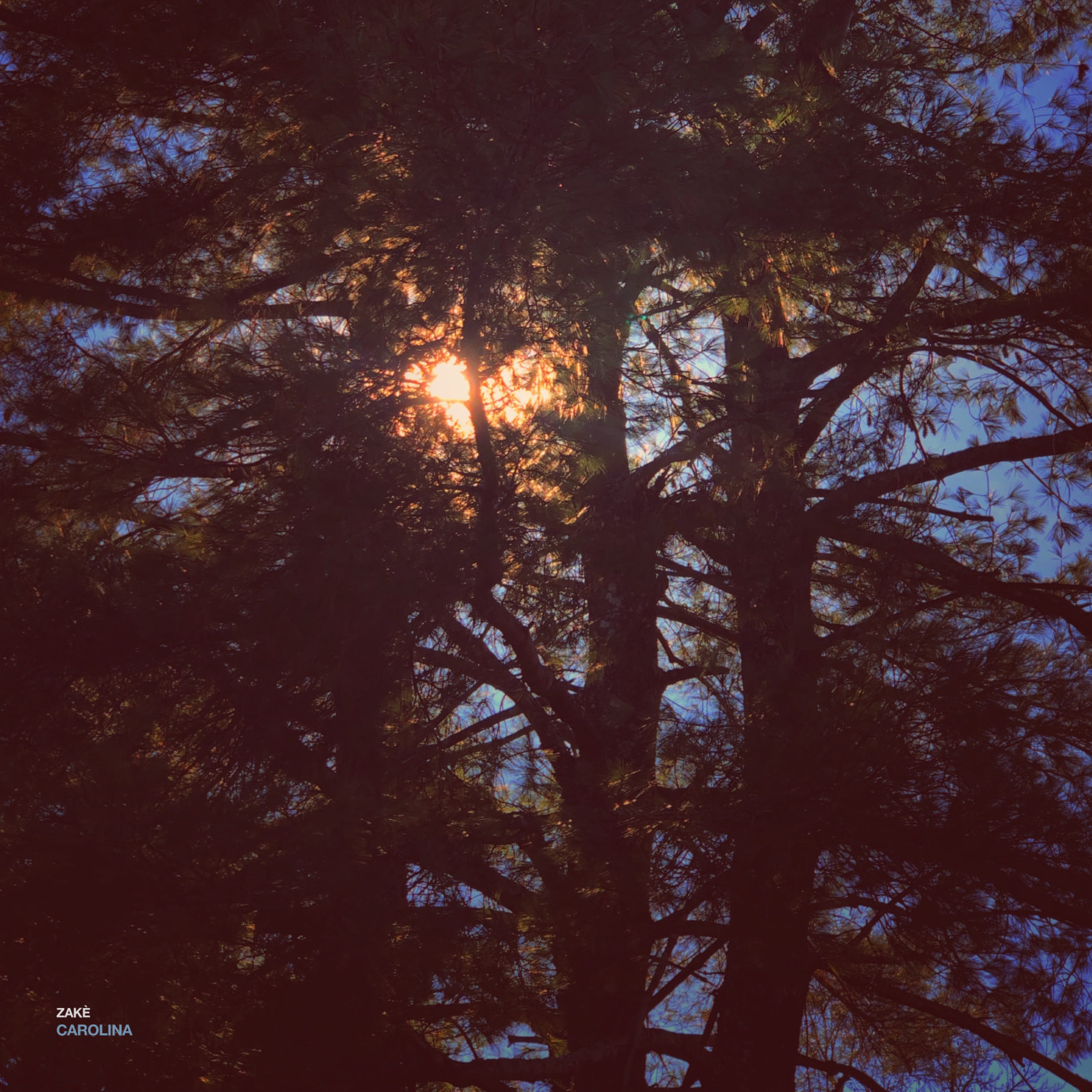 Carolina album cover