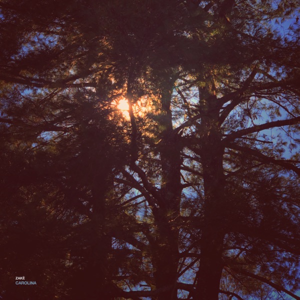 Carolina album cover