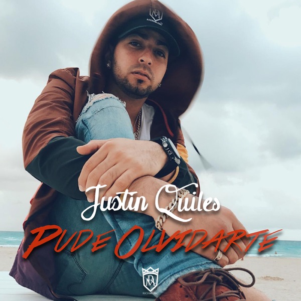 Pude Olvidarte - Single album cover