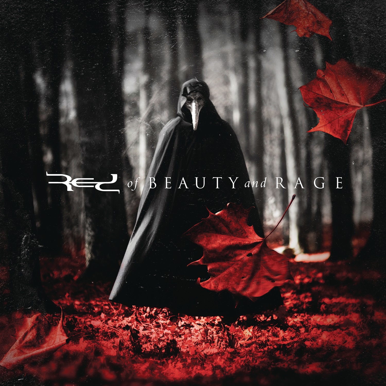 of Beauty and Rage album cover