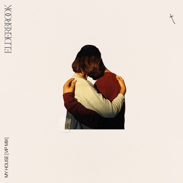 My House (VIP Mix) - Single album cover