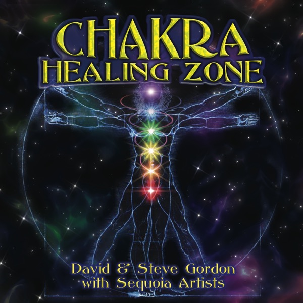 Chakra Healing Zone album cover