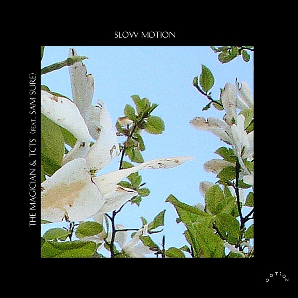 Slow Motion (feat. Sam Sure) - Single album cover