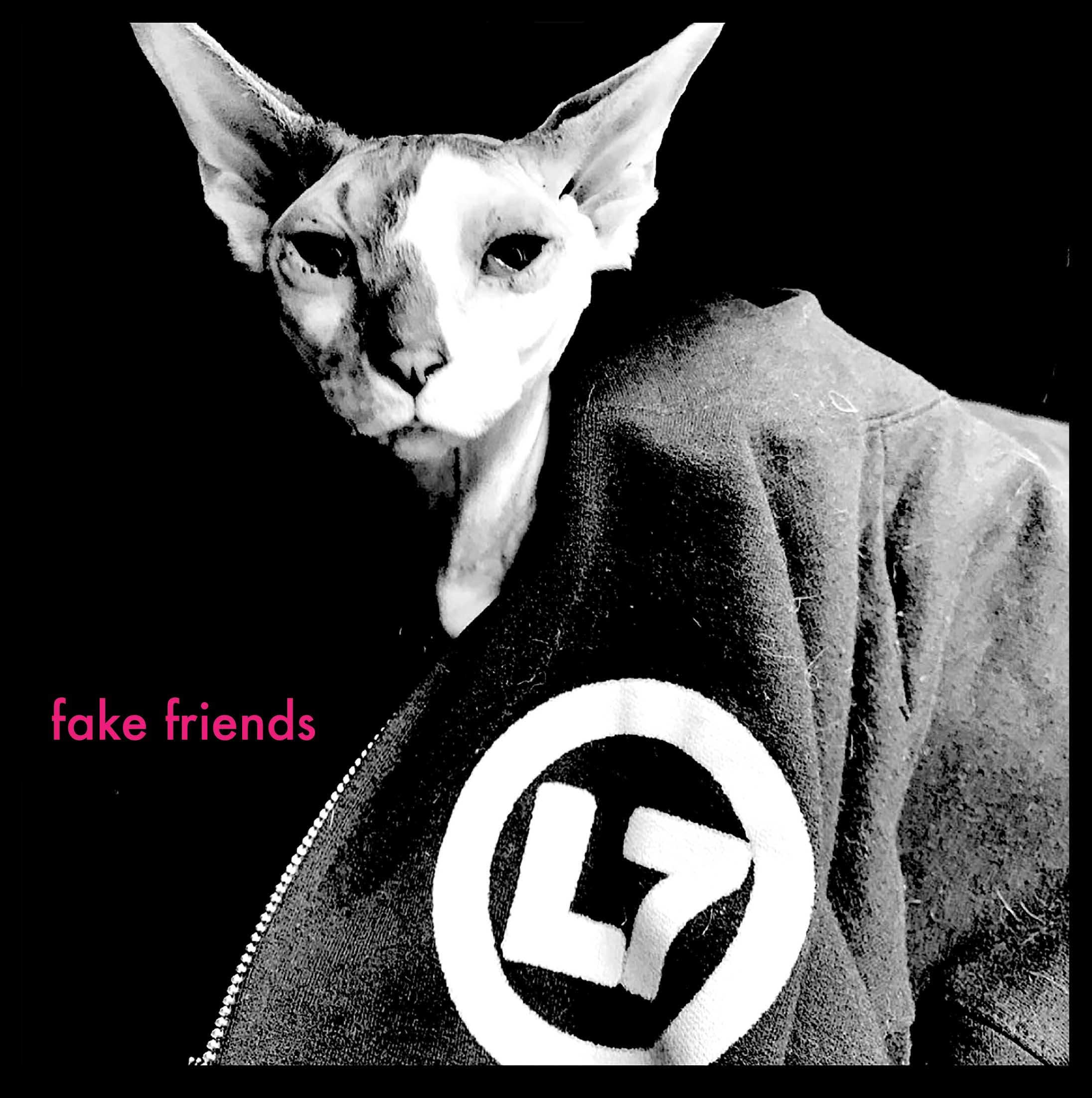 Fake Friends - Single album cover
