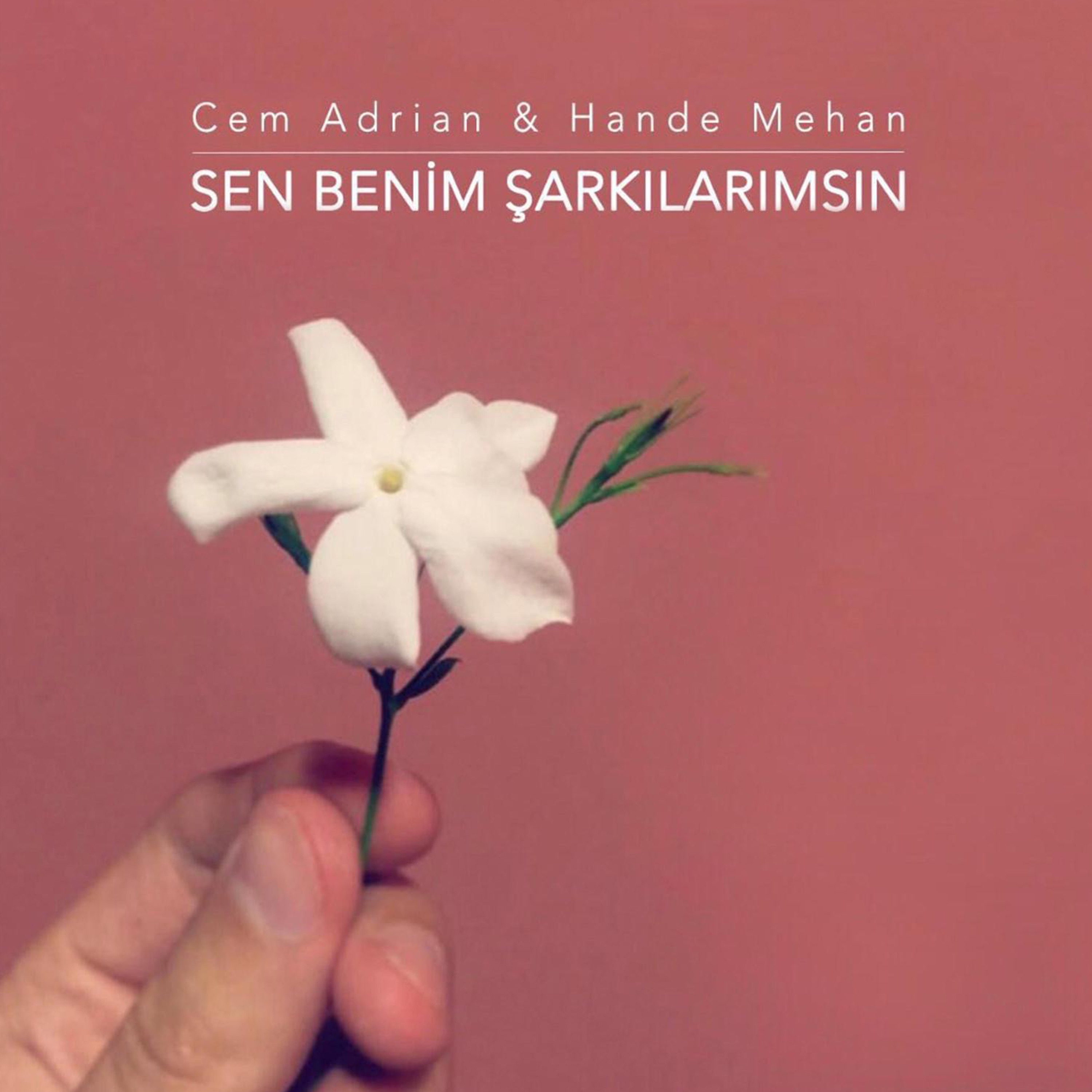 Sen Benim Şarkılarımsın - Single album cover