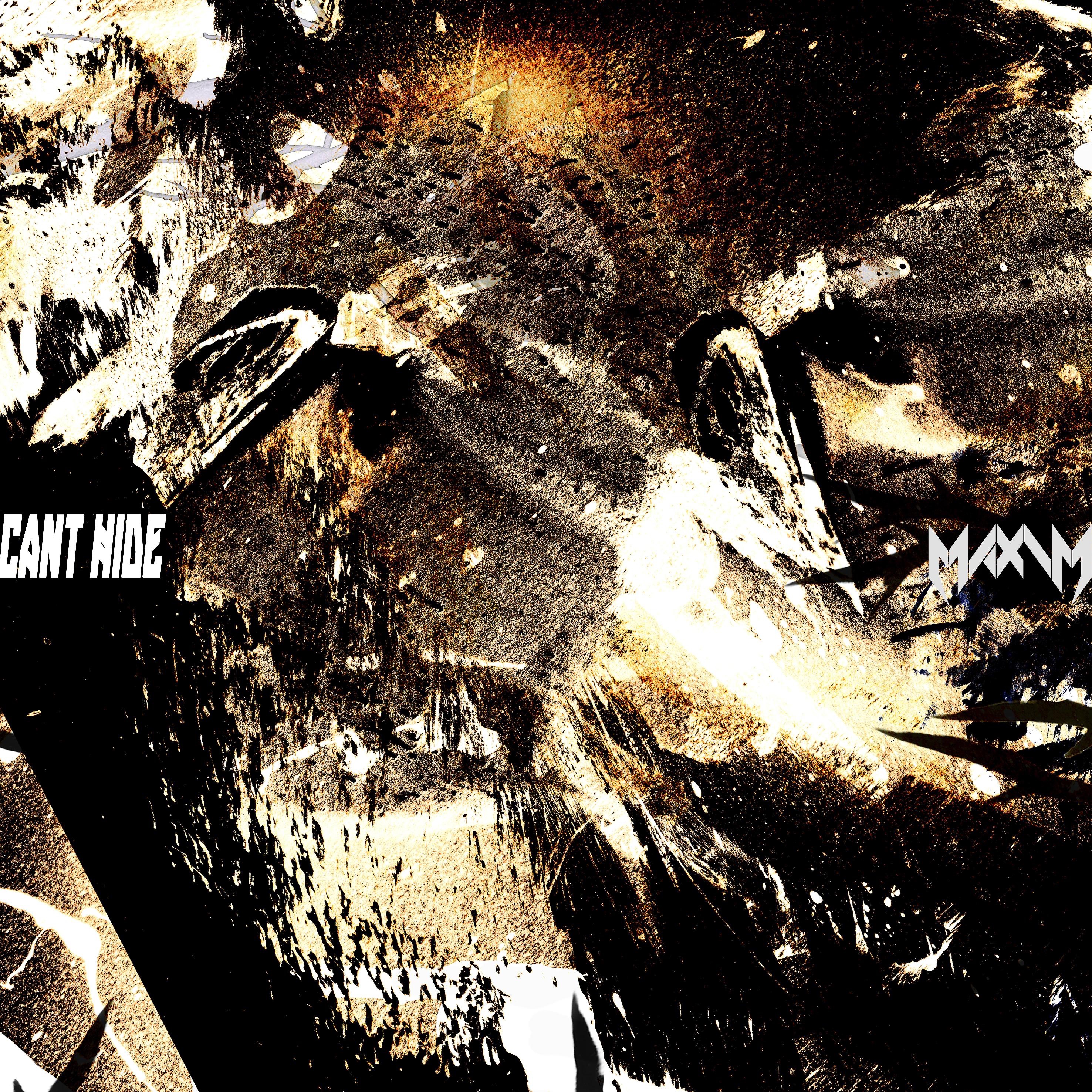 Can't Hide - Single album cover