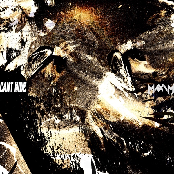 Can't Hide - Single album cover
