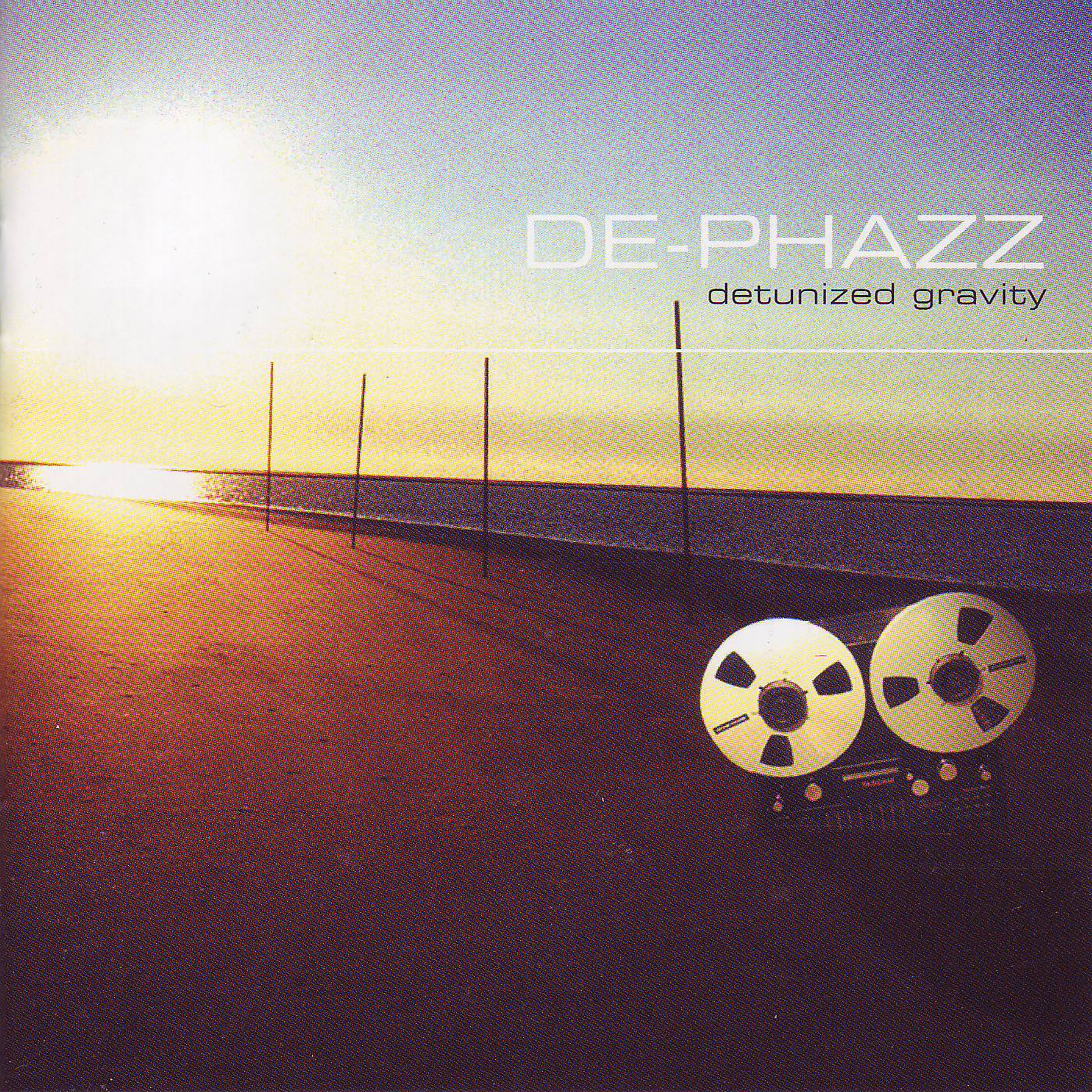 Detunized Gravity album cover