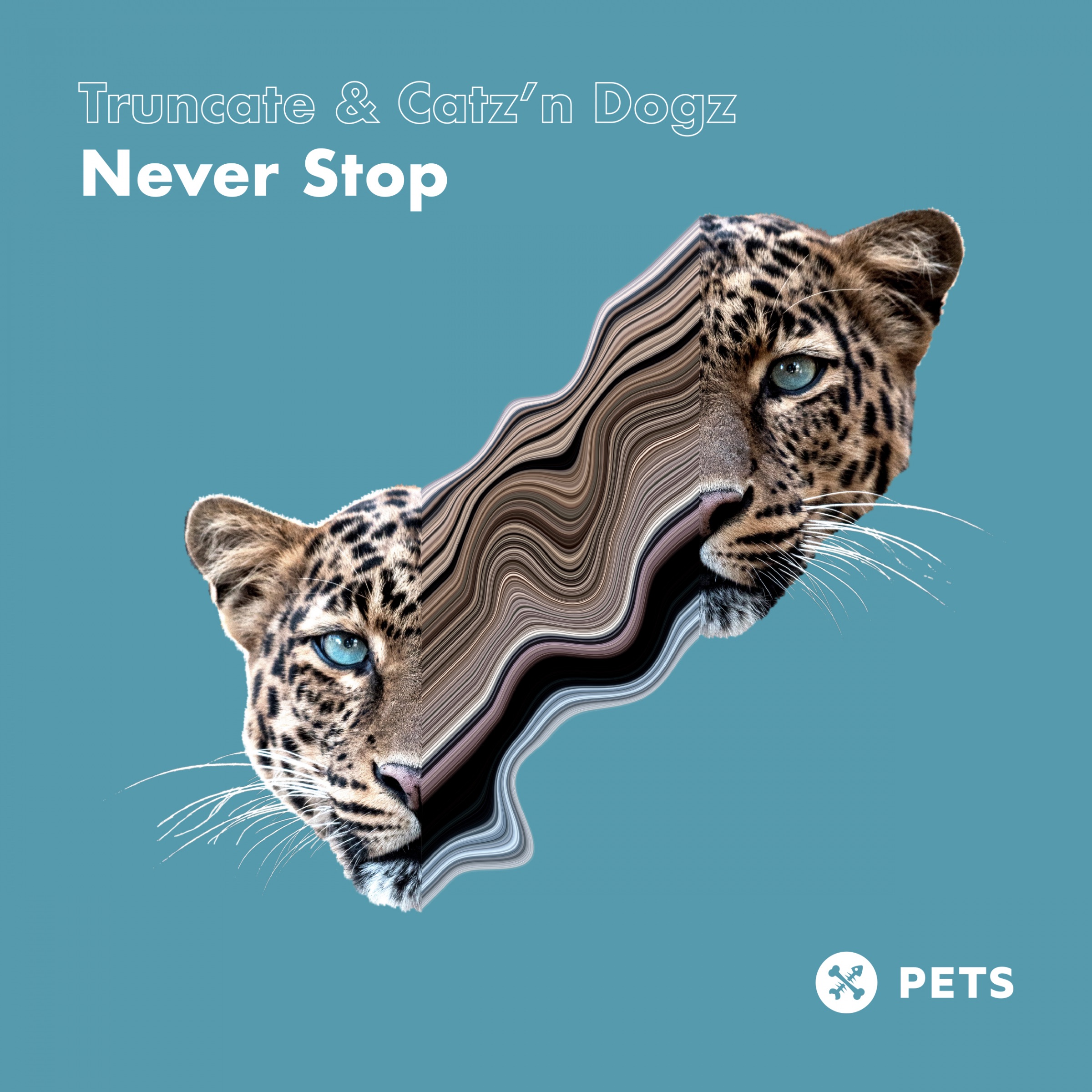 Never Stop - Single album cover