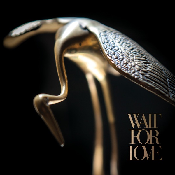 Wait for Love album cover