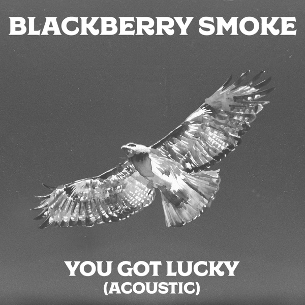 You Got Lucky (feat. Amanda Shires) [Acoustic Version] - Single album cover