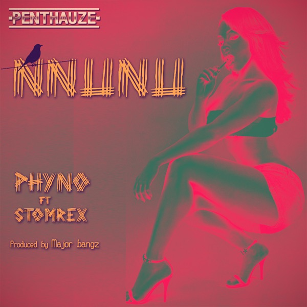 Nnunu (feat. Stormrex) - Single album cover