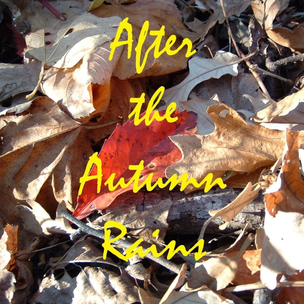 After the Autumn Rains - Single album cover