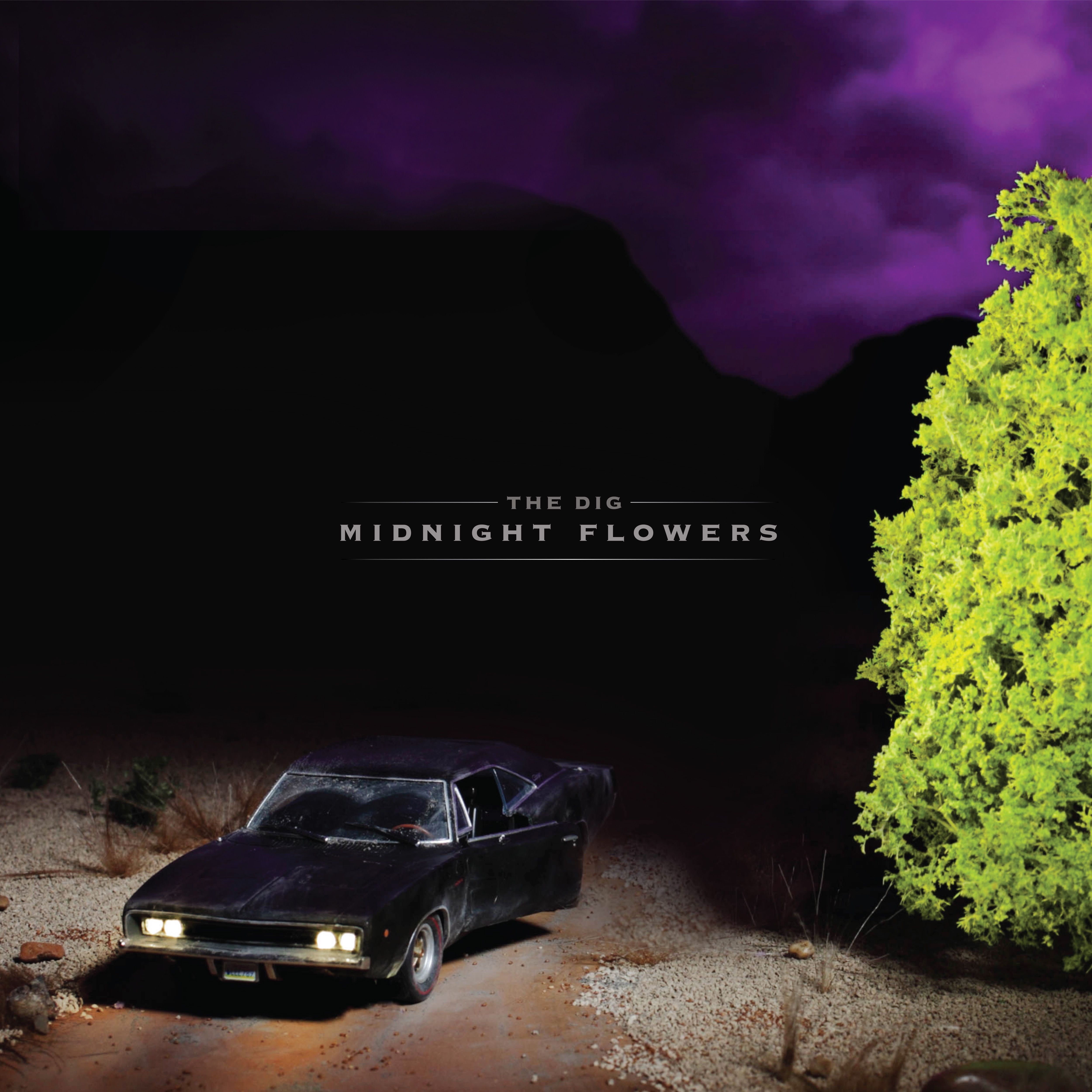 Midnight Flowers album cover