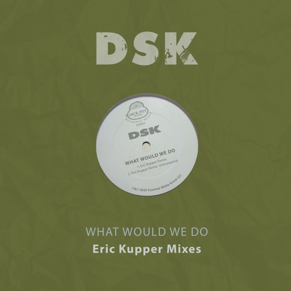 What Would We Do (Eric Kupper Mixes) - Single album cover