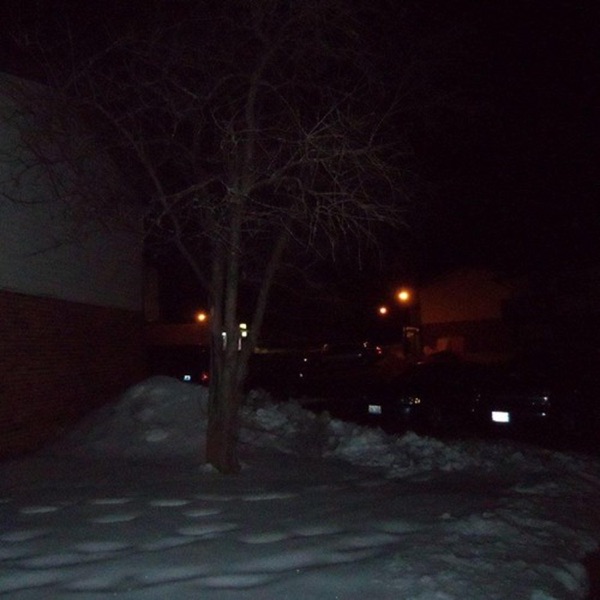 Winter - Single album cover