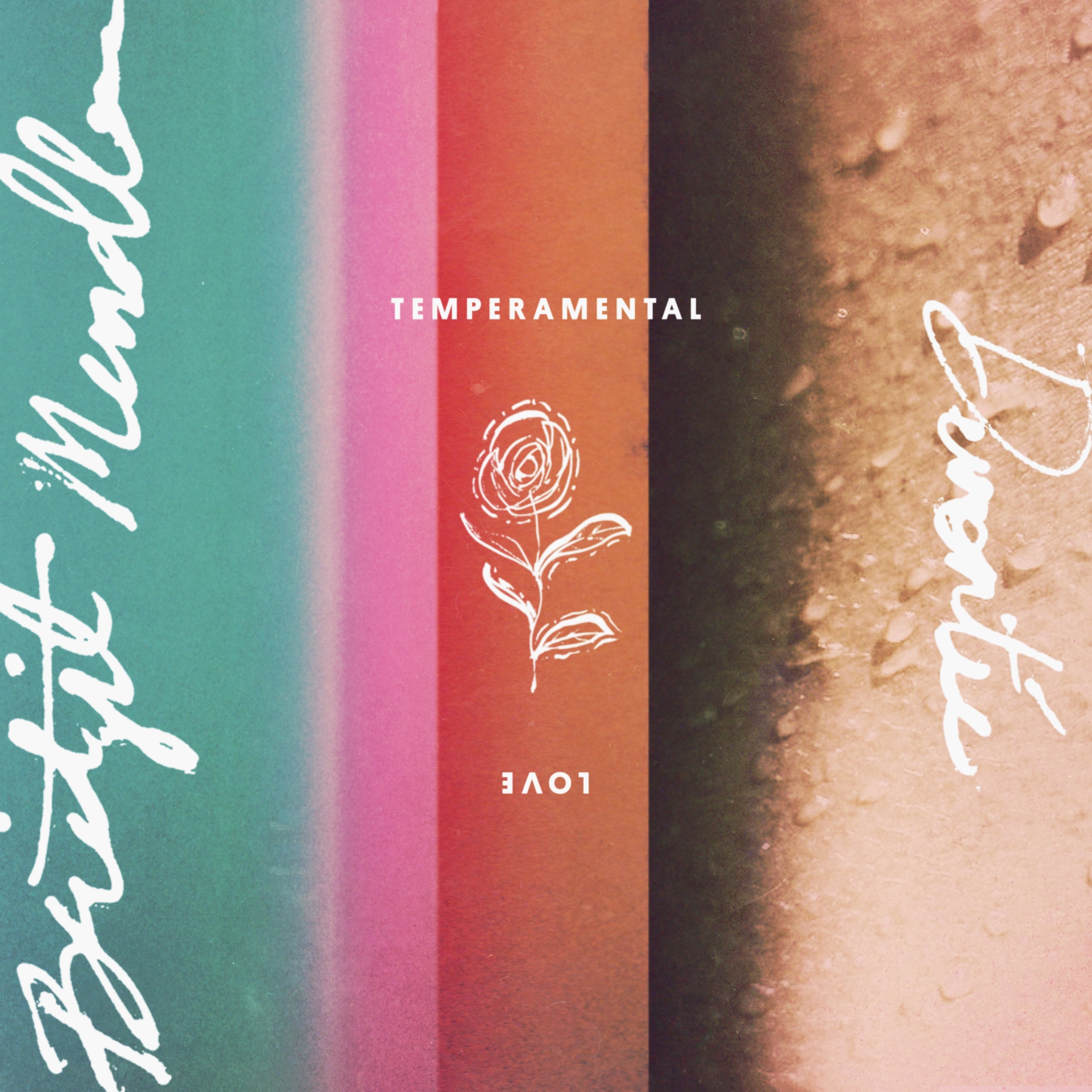 Temperamental Love - Single album cover