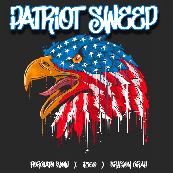 Patriot Sweep - Single album cover