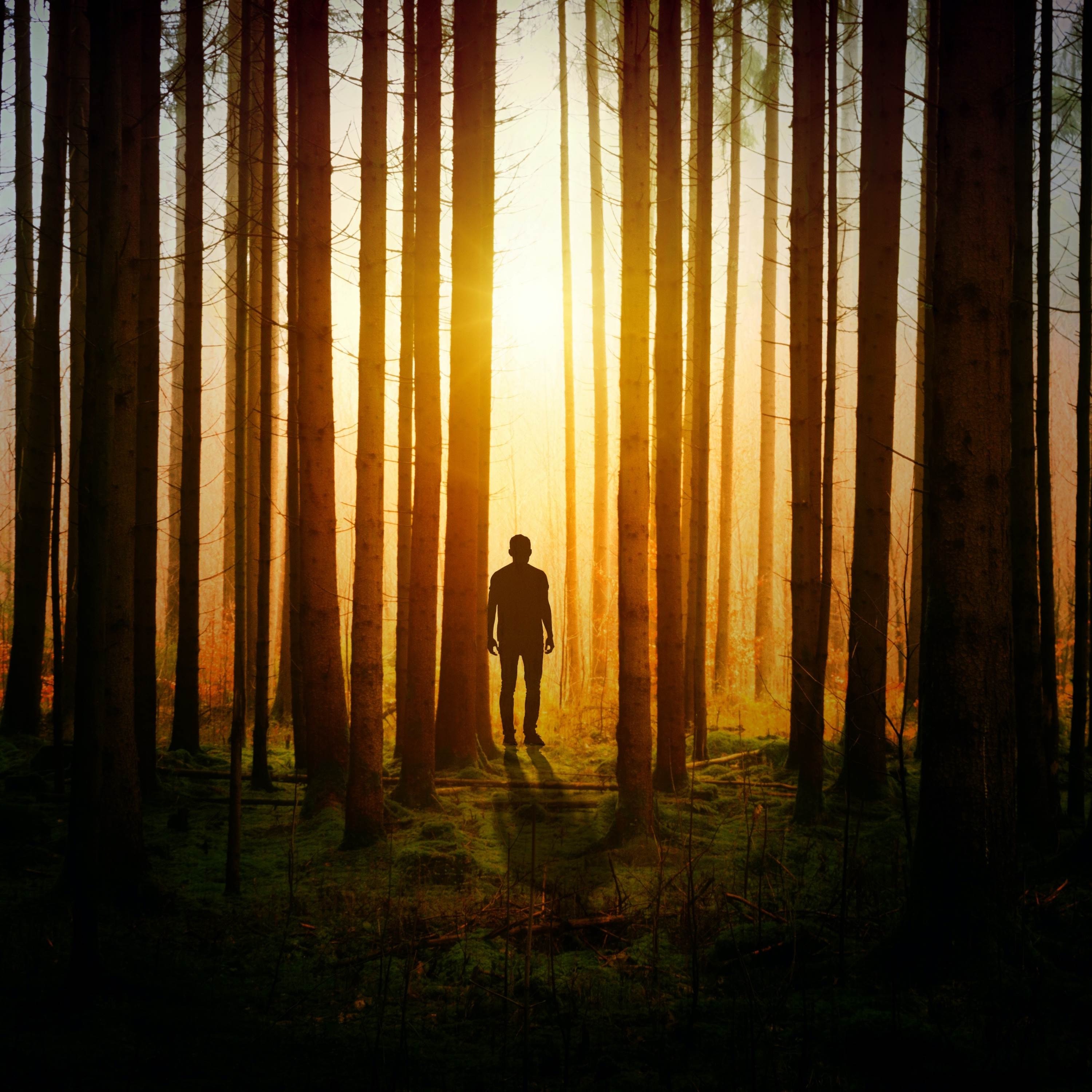 Shutter - Single album cover