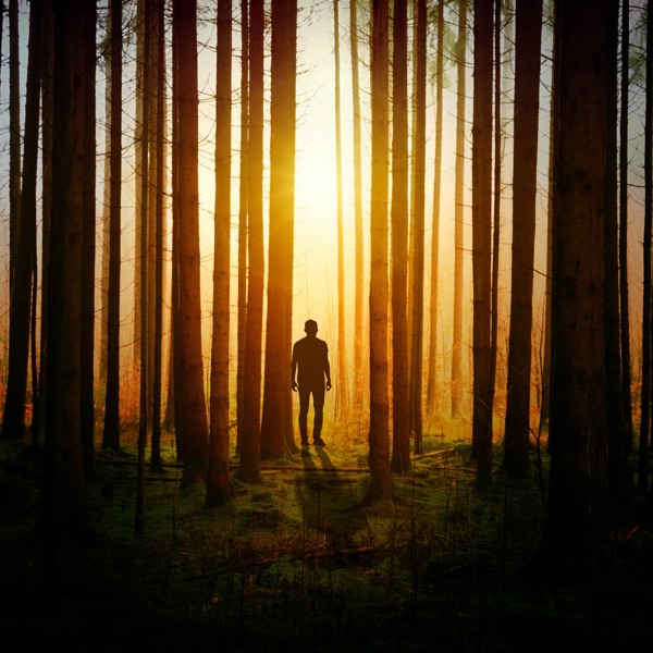 Shutter - Single album cover
