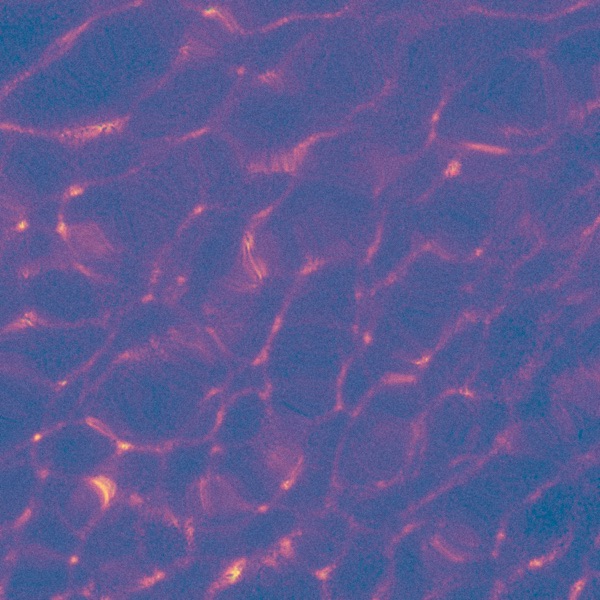 Ripple - Single album cover
