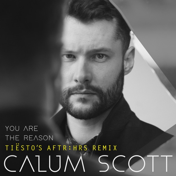 You Are the Reason (Tiësto's AFTR:HRS Remix) - Single album cover
