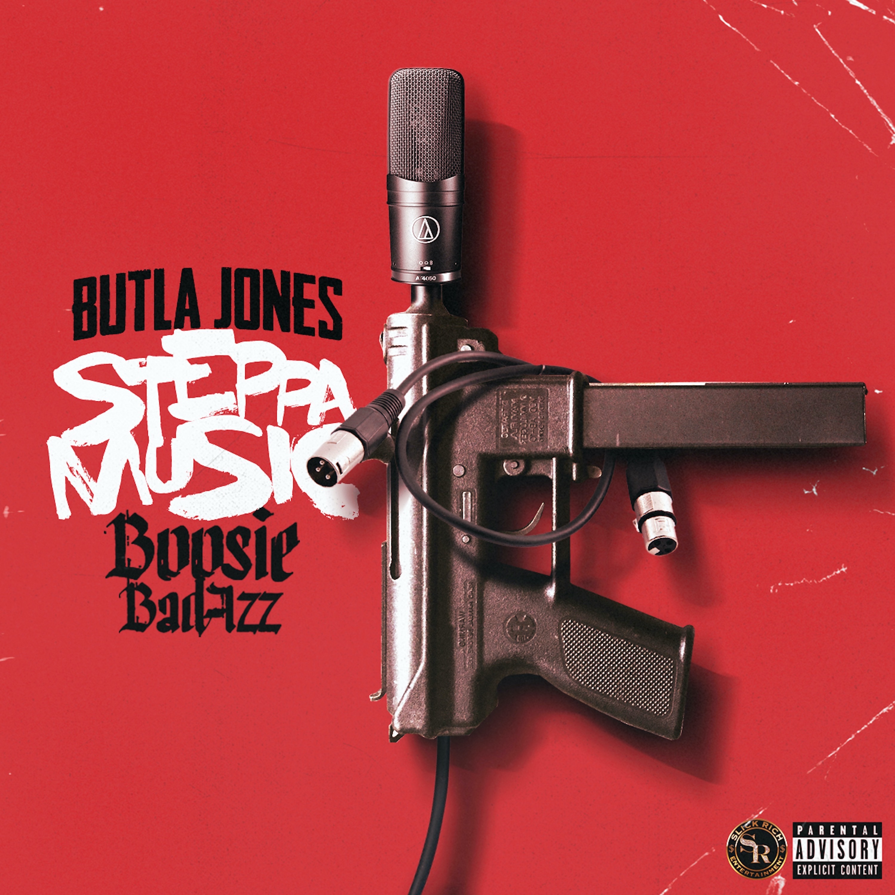Steppa Music (feat. Boosie Badazz) - Single album cover