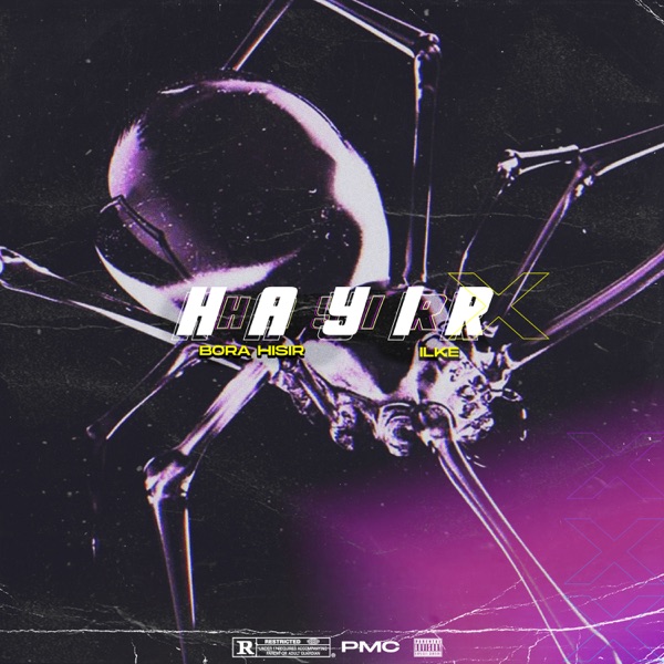 HAYIR - Single album cover