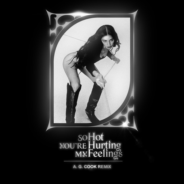 So Hot You're Hurting My Feelings (A. G. Cook Remix) - Single album cover