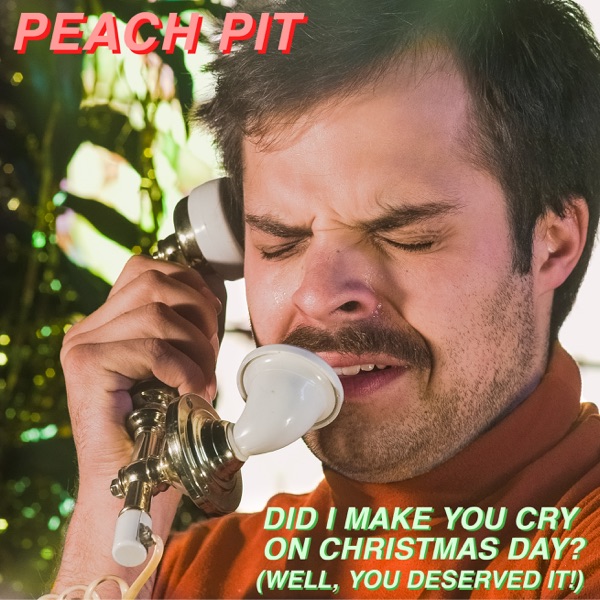 Did I Make You Cry on Christmas Day? (Well, You Deserved it!) - Single album cover