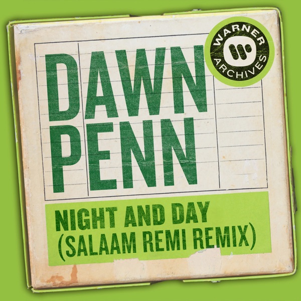 Night and Day (Salaam Remi Remix) - Single album cover