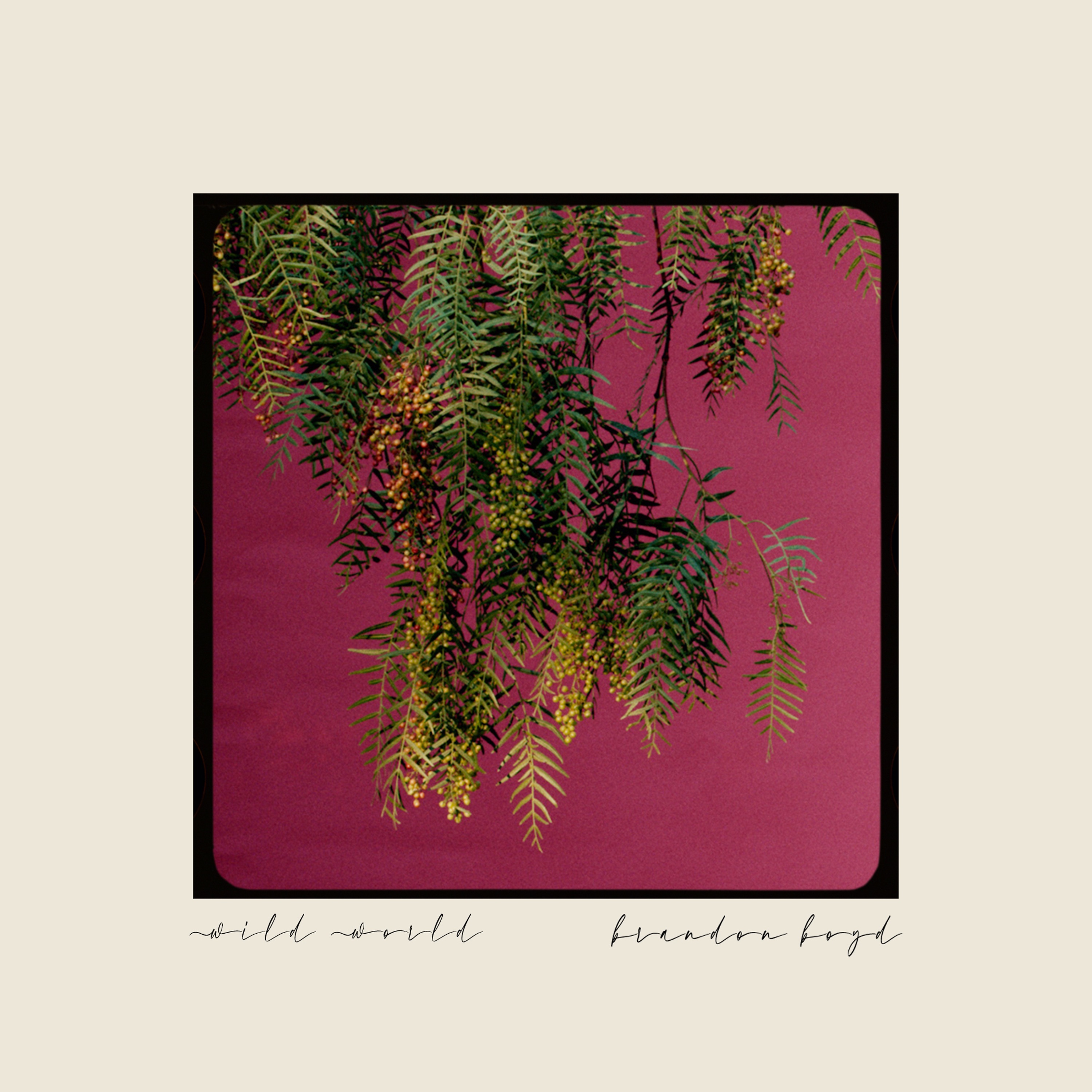 Wild World - Single album cover