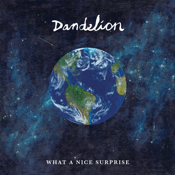 What a Nice Surprise - Single album cover