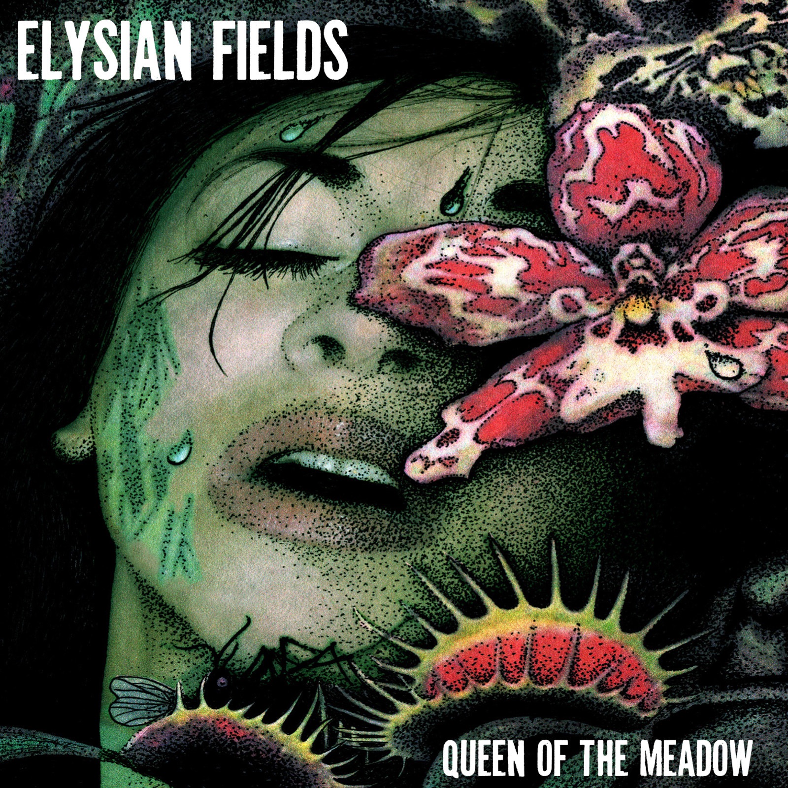 Queen of the Meadow album cover