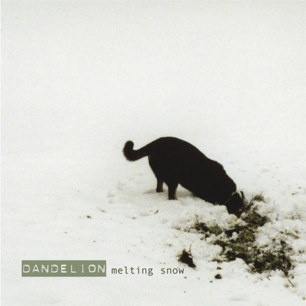 Melting Snow album cover