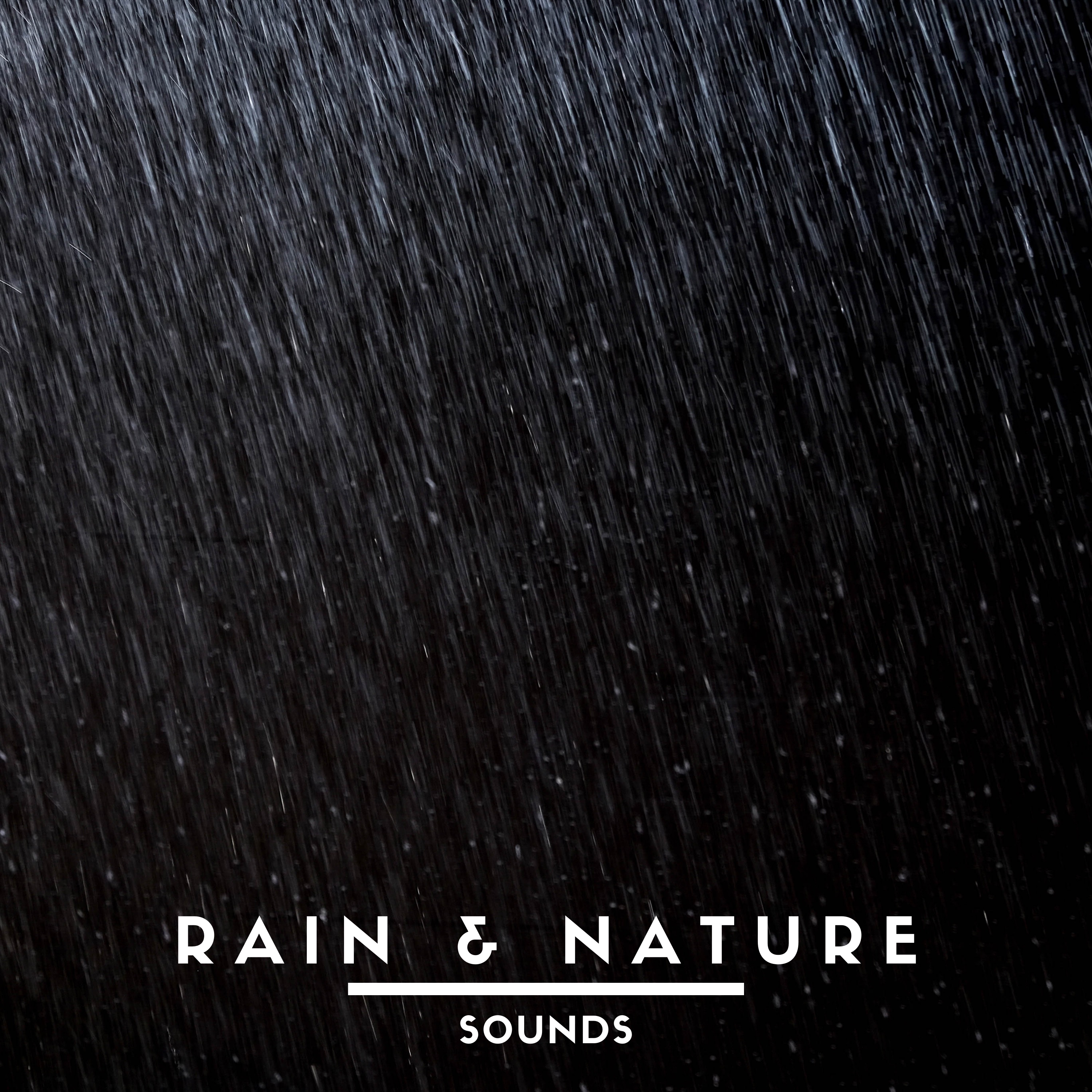 Rain & Nature Sounds album cover