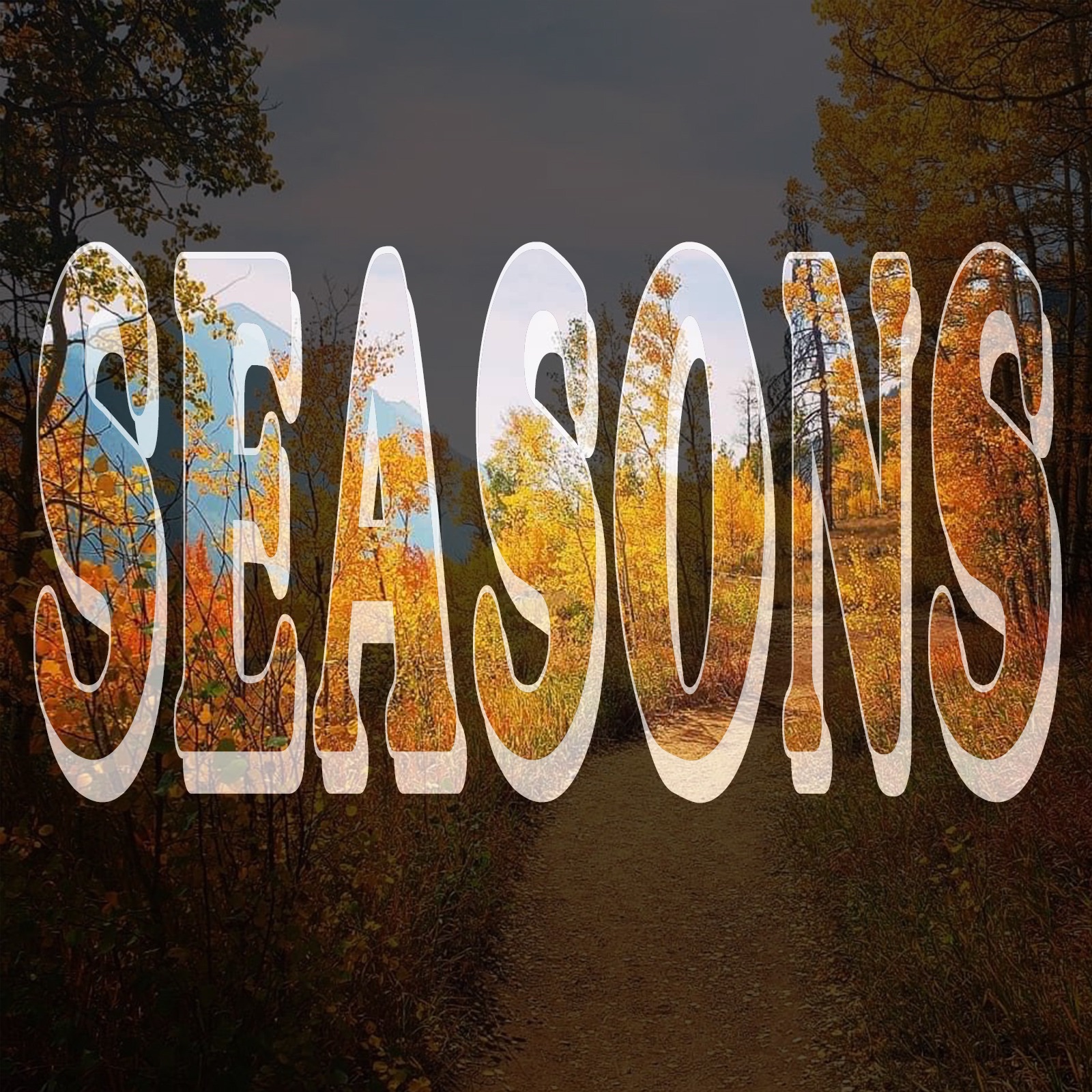 Seasons - Single album cover