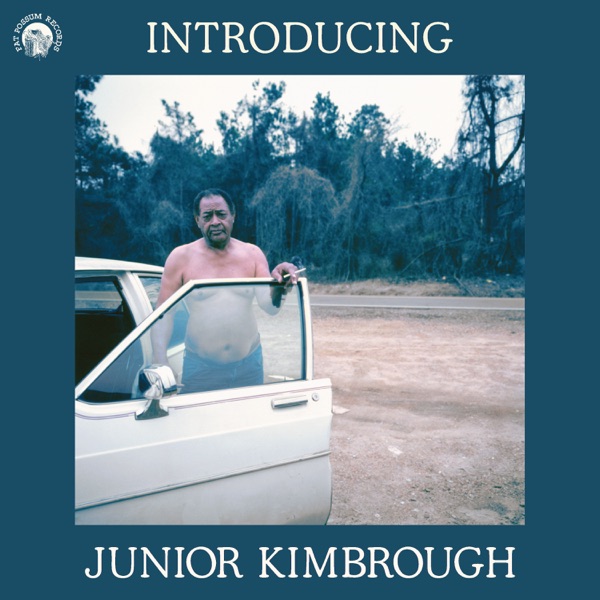 Introducing Junior Kimbrough album cover